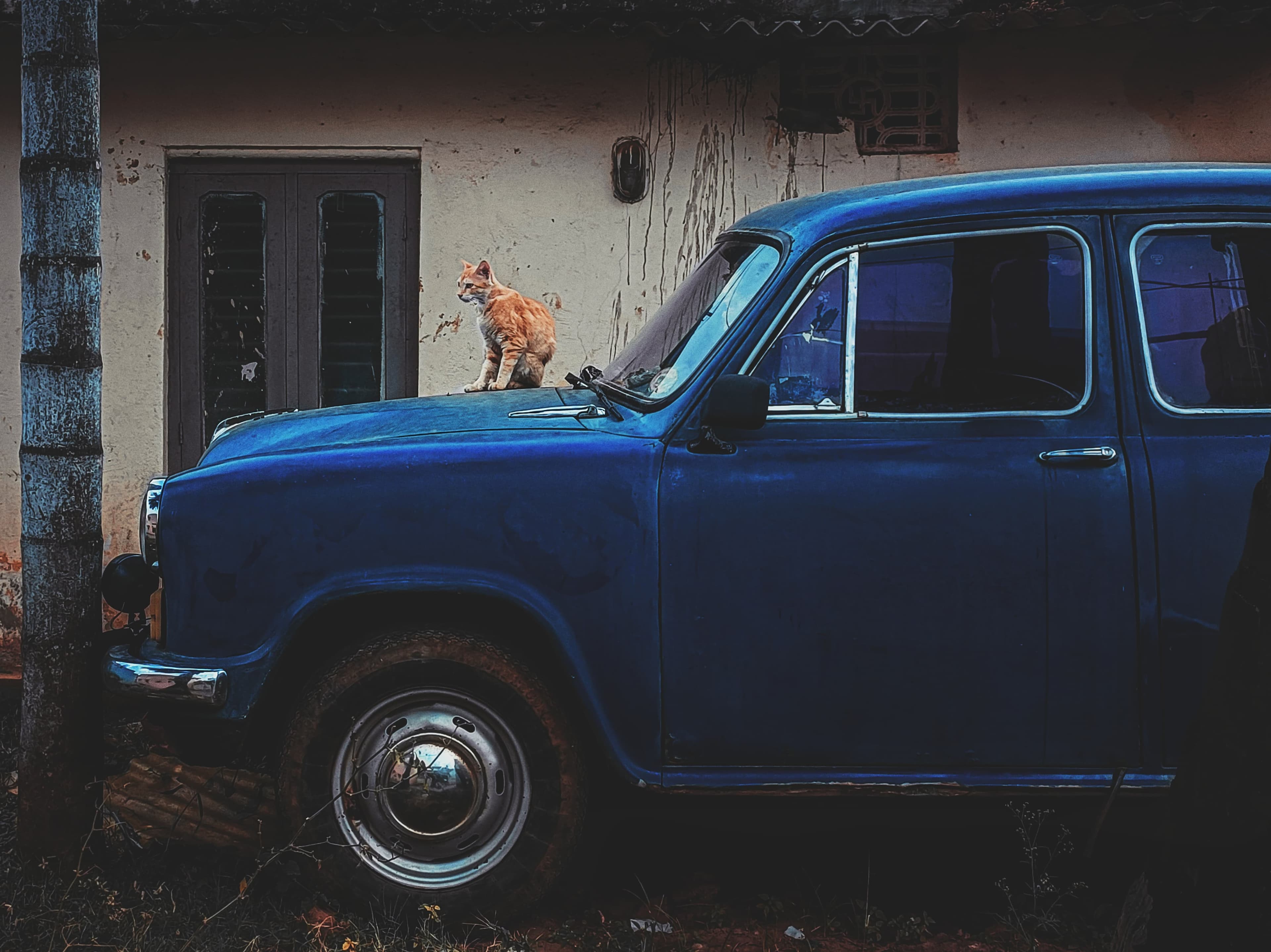 Portrait photography